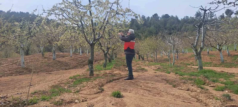 Gediz’de zirai don hasar tespit çalışmaları başlatıldı
