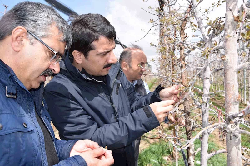Karapınar’da zirai don sonrası tarım alanlarında incelemelerde bulundu
