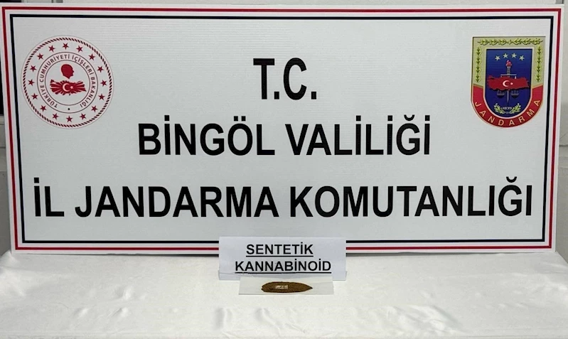 Bingöl’de bonzai ele geçirildi: 4 gözaltı
