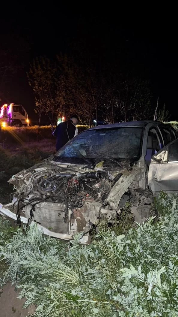 Söğütlü’de tarlaya uçan otomobildeki 4 kişi yaralandı

