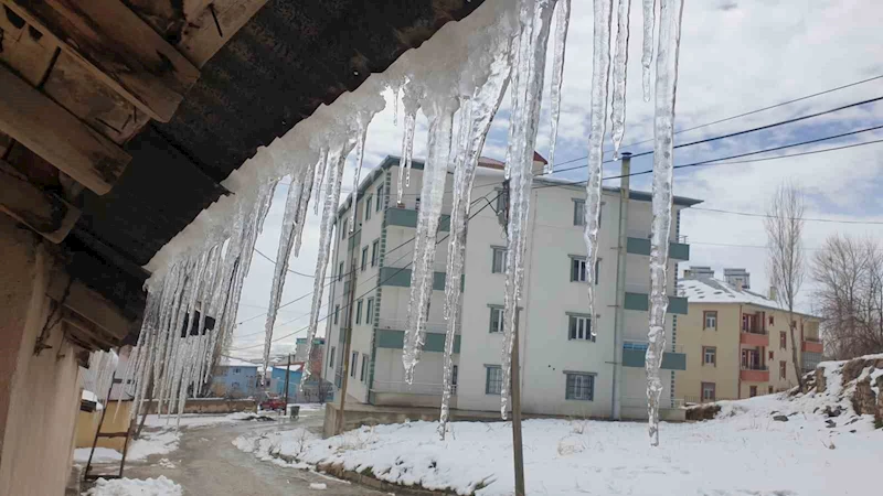 Başkale baharda dondu
