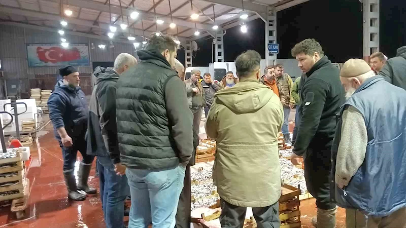 Av yasağı başladı, küçük teknelerin getirdiği balıklar mezatta satıldı
