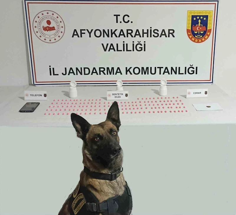 Jandarma uyuşturucu satıcısını yaptığı takiple yakaladı

