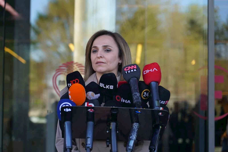 DEM Parti Sözcüsü Ayşegül Doğan, 