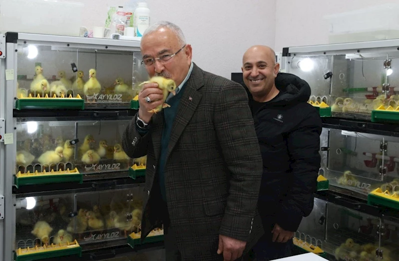 Başkan Güler: 