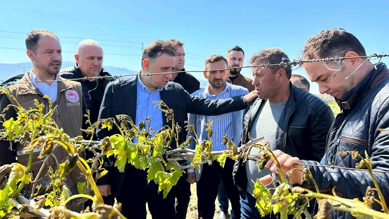 TBMM zirai dondan etkilenen üreticiler için adım attı
