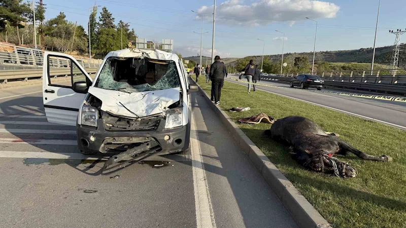 Gaziantep’te yola fırlayan ata sivil polis otosu çarptı: 2 polis yaralandı
