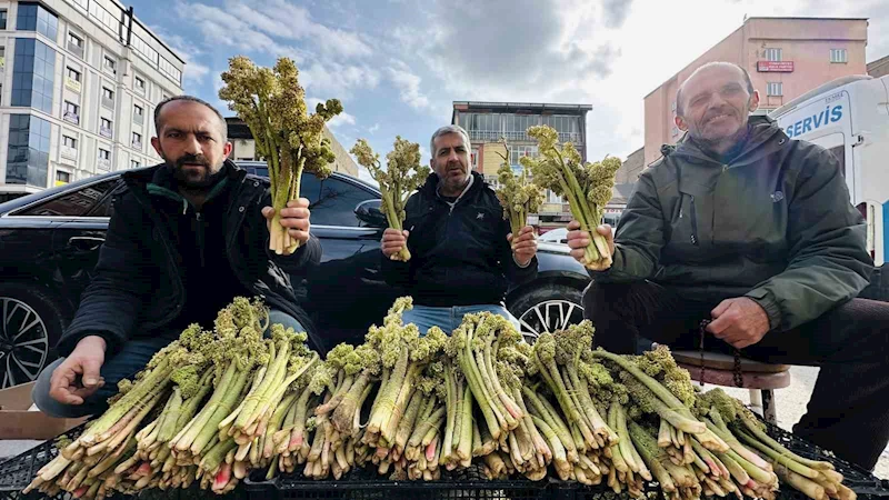 Yayla muzunun destesi 100 TL’den satışa çıkarıldı
