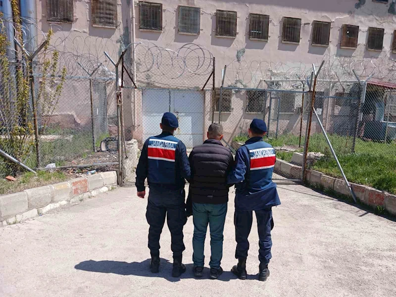 Hapis cezasıyla aranan şahıs jandarma tarafından yakalandı
