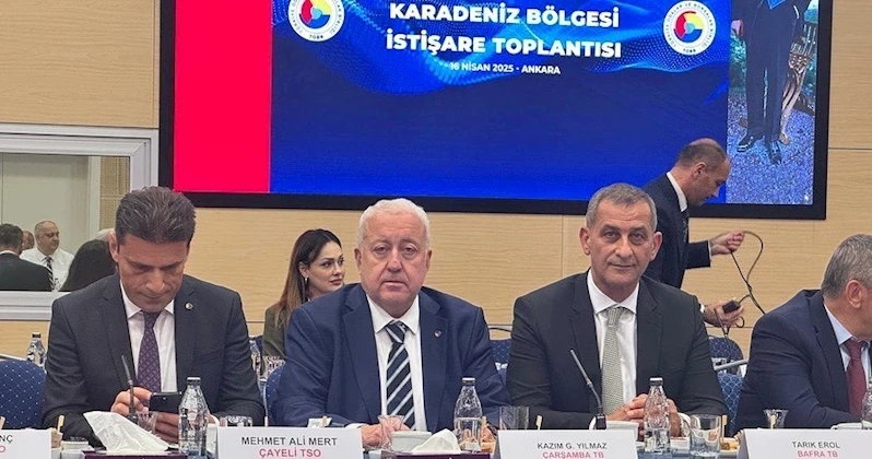 Karadeniz Bölgesi İstişare Toplantısı
