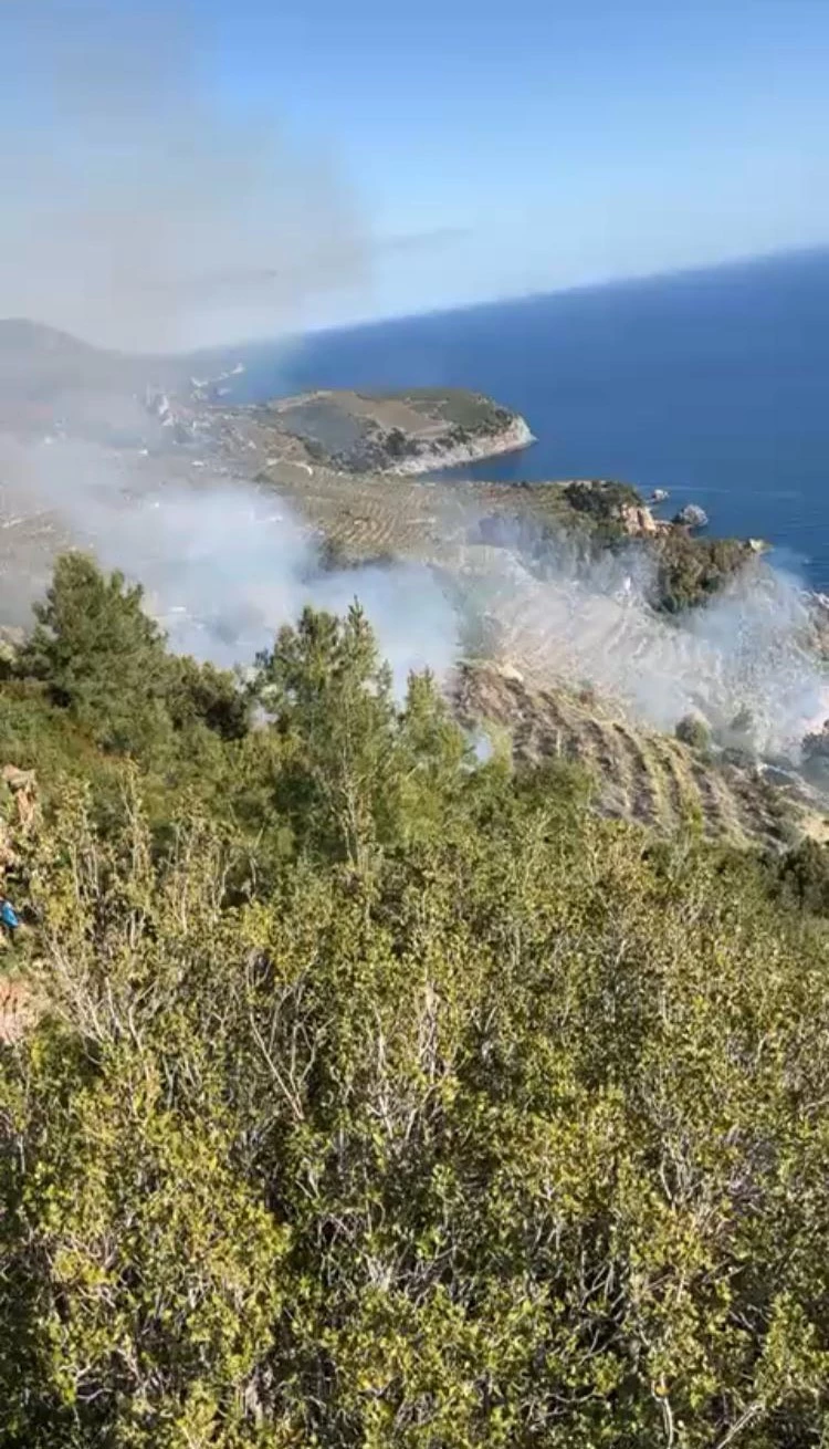 Gazipaşa’da muz bahçesindeki yangın makilik alana sıçradı
