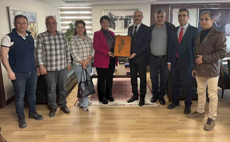 Türk Eğitim-Sen: 