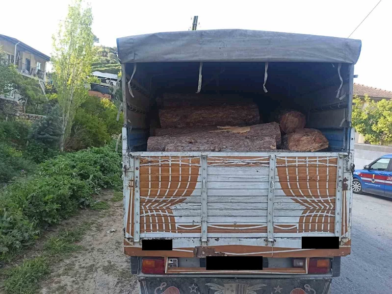 Efeler’de kaçak orman ürünü ele geçirildi
