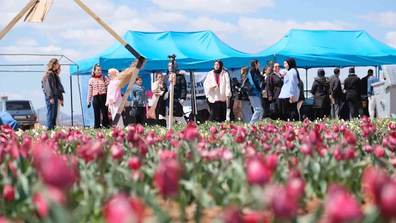 Karaman’da lale tarlasını bu yıl 200 bin kişinin ziyaret etmesi bekleniyor
