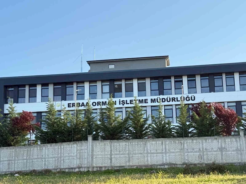 Tokat’ta jandarmadan yolsuzluk operasyonu: 7 gözaltı
