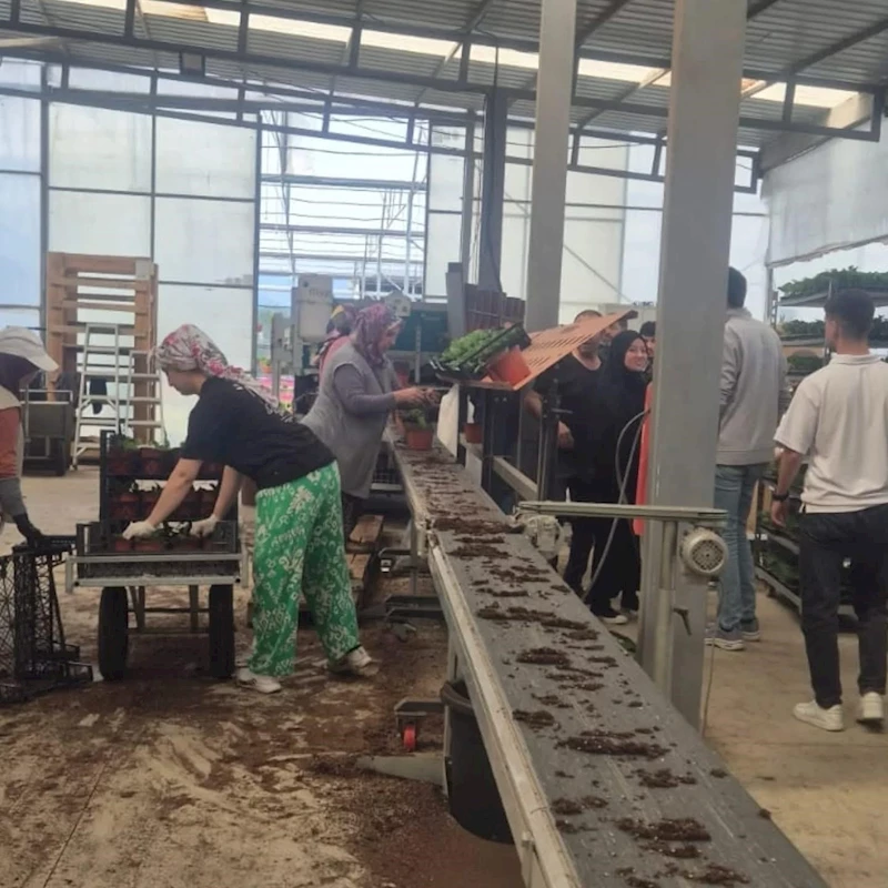 Öğrenciler çiçeklerle sürdürülebilirliği keşfetti
