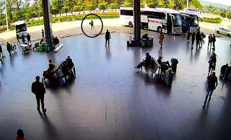 Adana’dan otobüsle Antalya’ya 300 civciv gönderdiler
