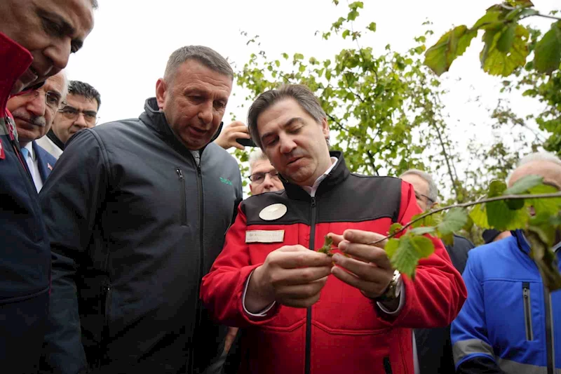 Bakan Yardımcısı Bağcı: 
