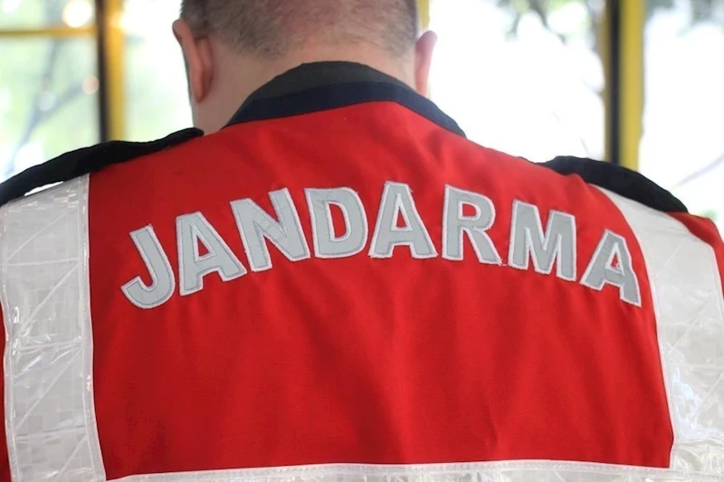Jandarmadan ’sahte vekaletname’ operasyonu: 38 gözaltı
