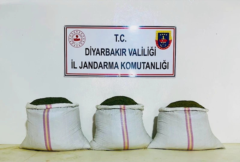 Diyarbakır İl Jandarma Komutanlığından ‘Terör örgütüne darbe’
