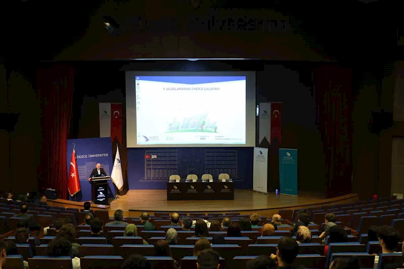 Düzce Üniversitesi’nde enerji çalıştayı
