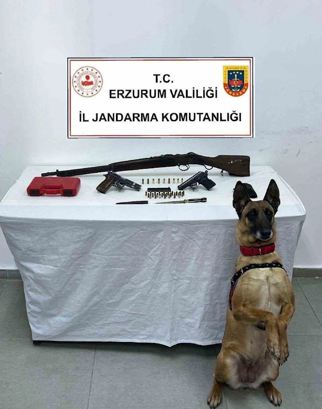 Bomba arama köpeği Yazı yine yakaladı
