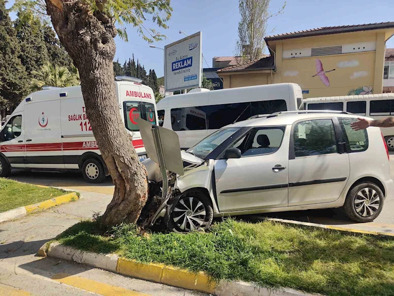 Tansiyonu düşen sürücü, yayalara çarpmamak için ağaca çarptı
