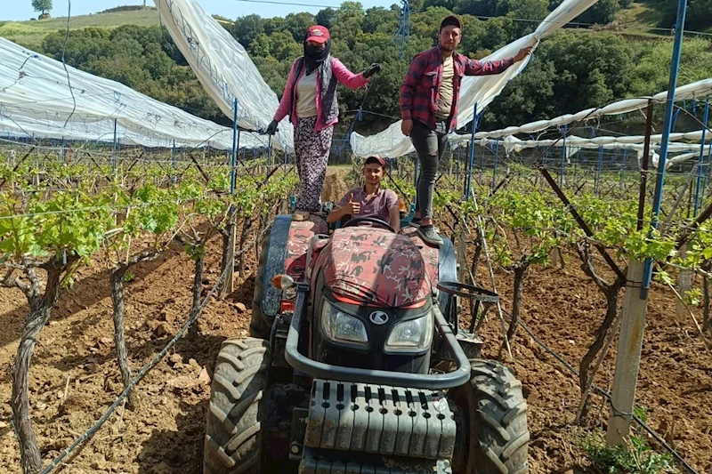 Üzüm bağlarına İtalyan dolu tül sistemi uygulaması başlandı
