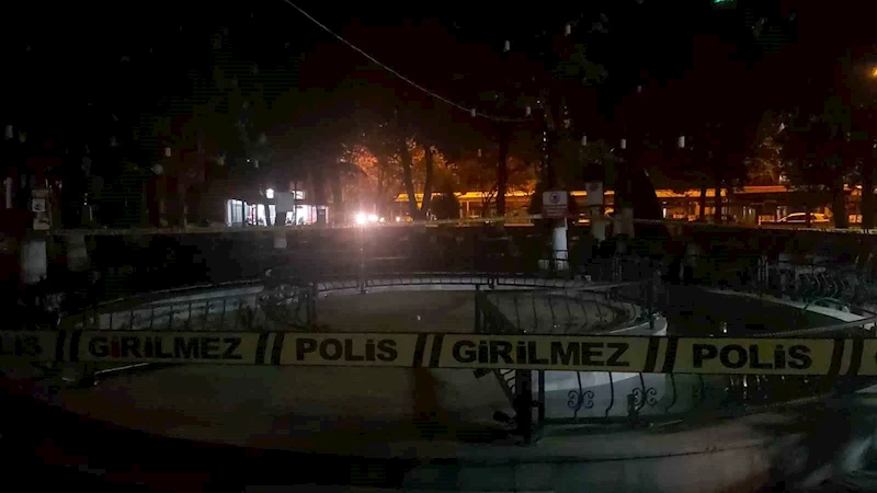 Süs havuzu faciasında işletme sahibi gözaltına alındı
