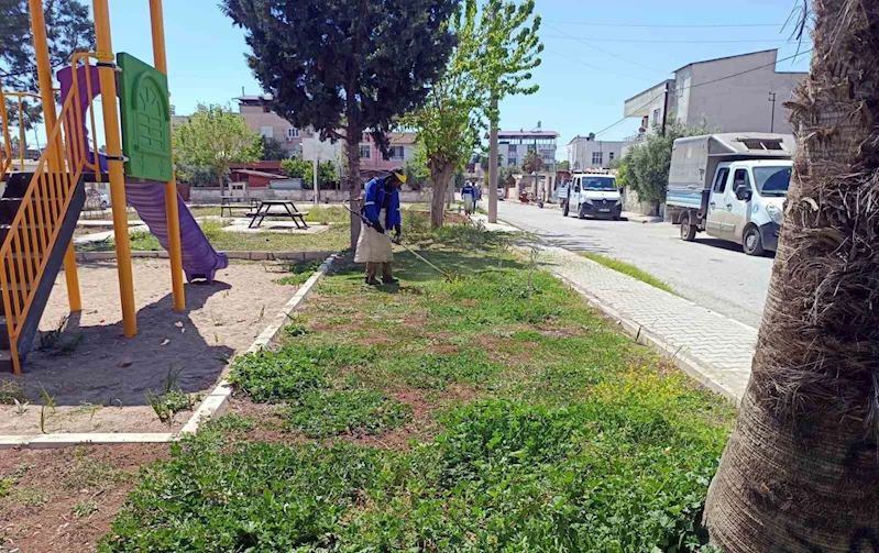 Akdeniz’in yeşil dokusu koruma altında
