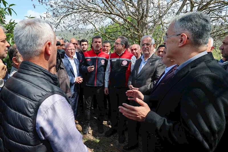 Ak Parti İl Başkanı Davut Gürkan, don mağduru çiftçinin yanında
