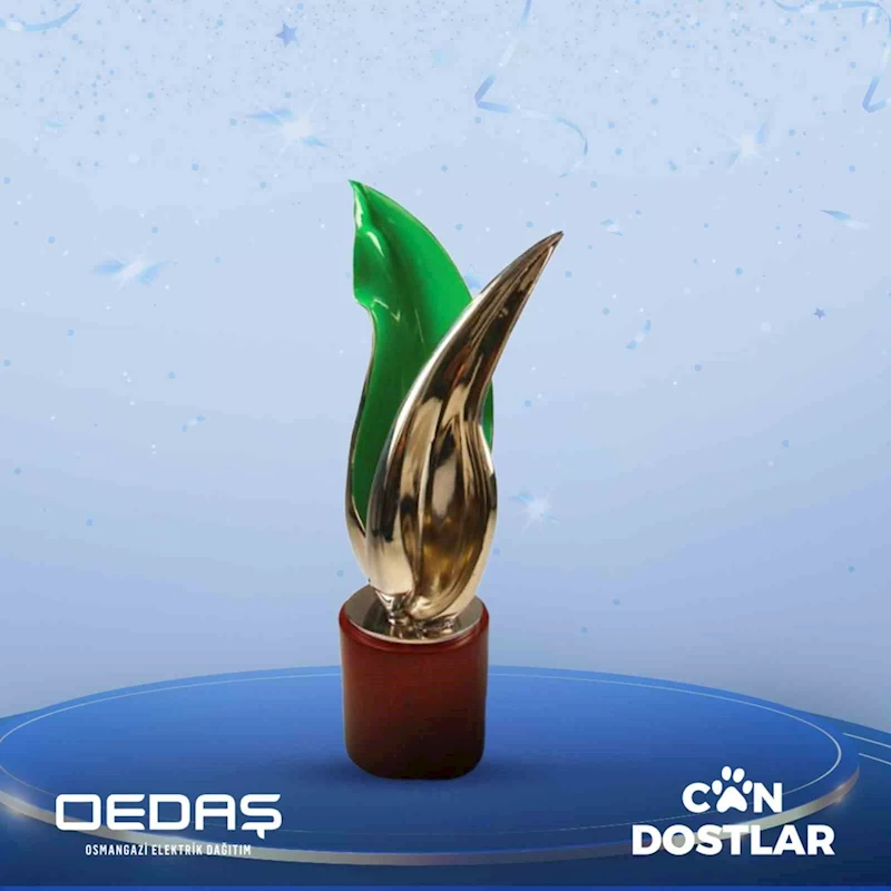 OEDAŞ’ın Can Dostlar projesine uluslararası ödül
