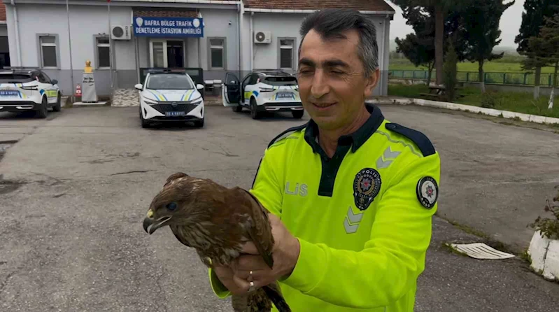 Polisin bulduğu yaralı halde bulduğu doğan koruma altına alındı
