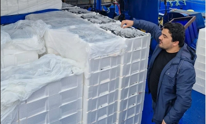 Balık sezonunda İnebolu’dan 2 milyon 965 bin ton balık karaya çıkartıldı
