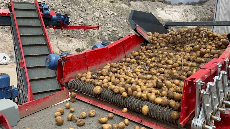 Patatesin toprakla buluşma yolculuğu başladı
