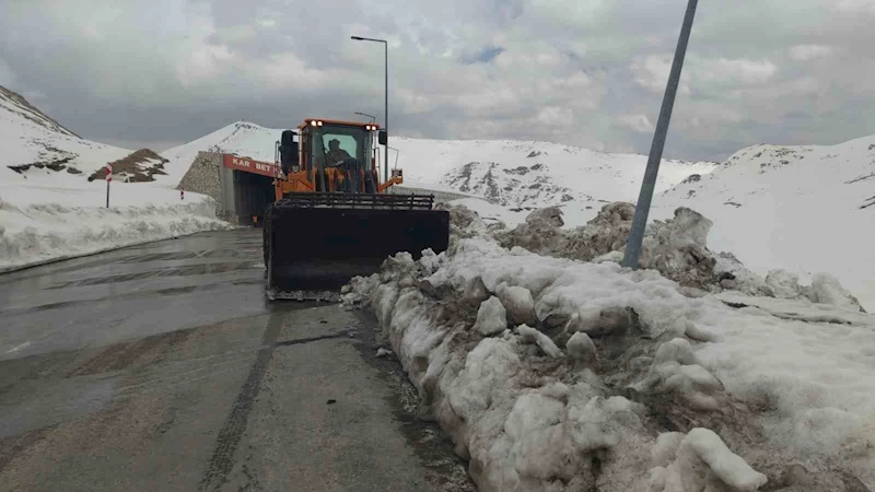 Kar kaplanları Nisan ayında da görevinin başında
