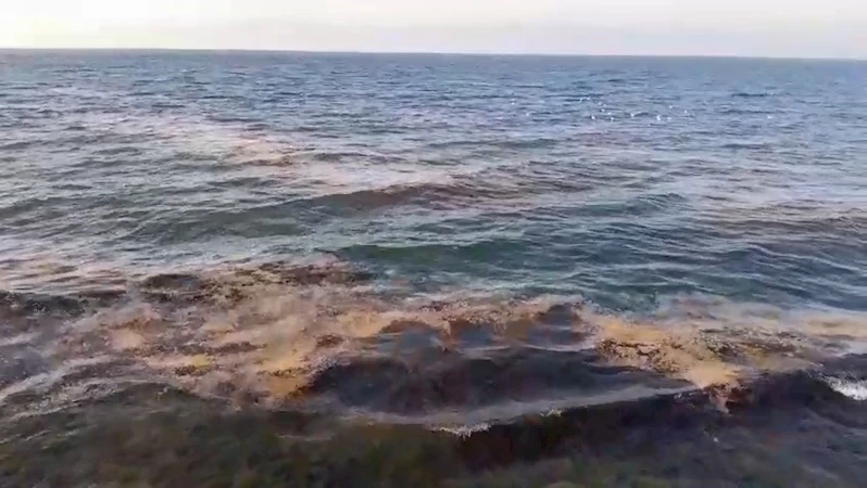 Mudanya sahilinde görülen müsilaj tedirgin etti
