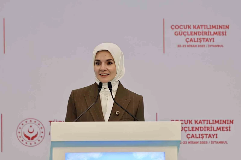 Bakan Göktaş: 