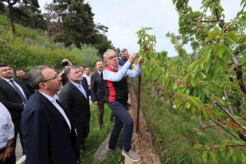 Kasapoğlu’ndan zirai don açıklaması: 
