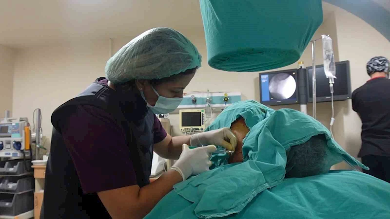 Doç. Dr. Sibel Özcan: ’’Kronik ağrı çözümsüz değildir’’
