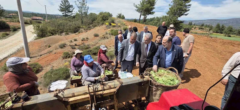 Başkan Pütün, Genel Başkan Yardımcısı Osmanağaoğlu ile birlikte Beyağaçlı çiftçilerle buluştu
