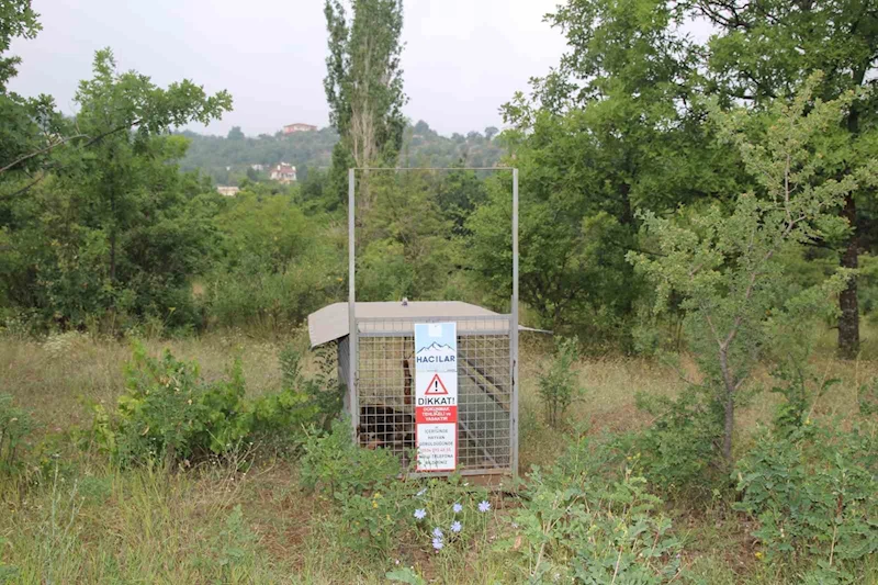 Başkan Özdoğan: 