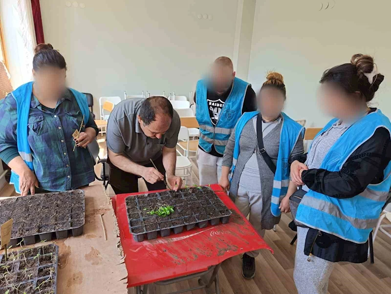 Yükümlülerin ektiği tohumlardan çıkacak ürünler ihtiyaç sahiplerine dağıtılacak
