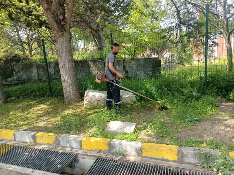 Afrodisias Antik Kenti’nde ilaçlama çalışması başlatıldı
