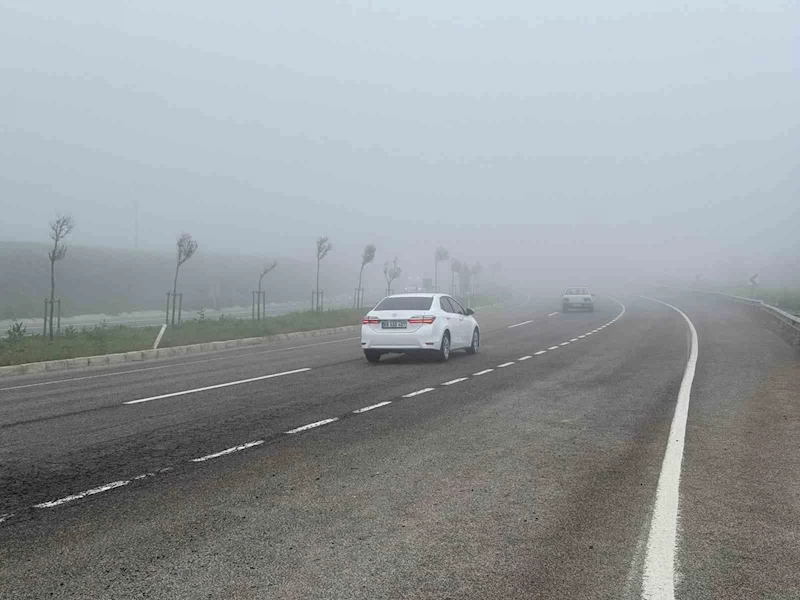 Tekirdağ’da yoğun sis sürücülere zor anlar yaşattı
