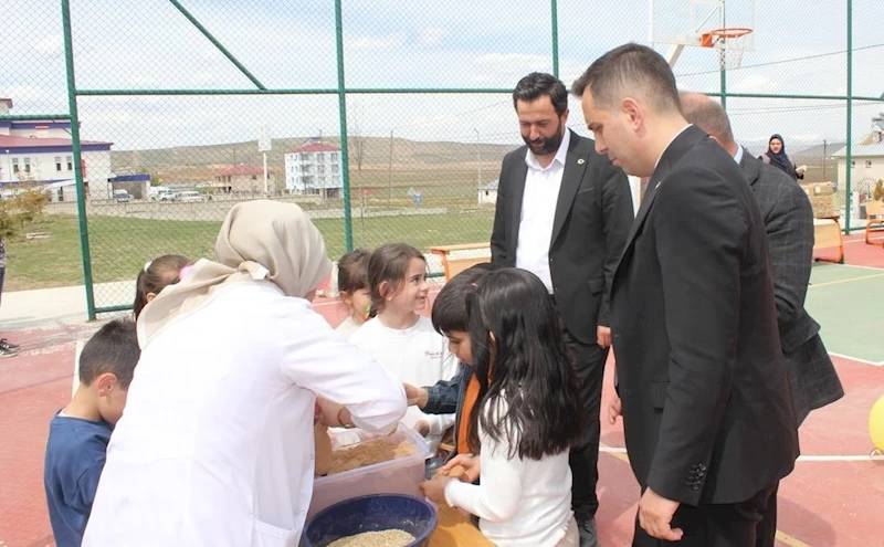 Demirözü’nde çim adamı etkinliği
