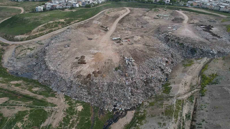 Osmangazi’de hayvan katliamı kenti ayağa kaldırdı
