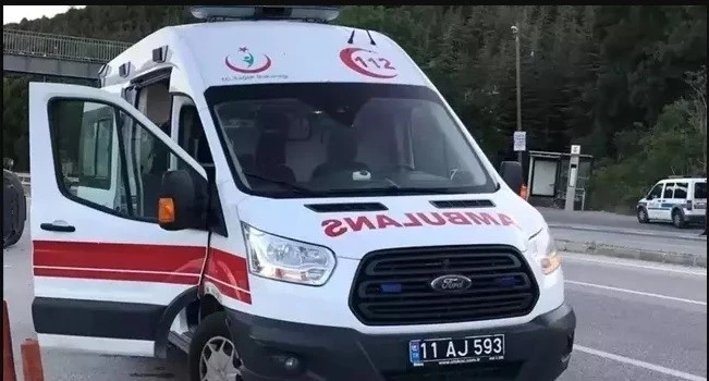 Bilecik’te seyir halinde devrilen motosiklet sürücüsü yaralandı
