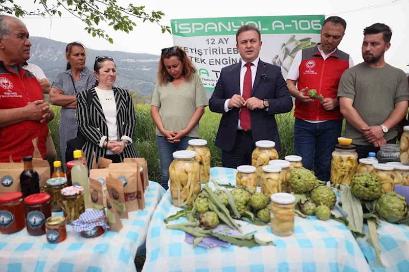 Akçapınar’da ‘Hibrit Enginar Hasadı Tarla Günü’ düzenlendi
