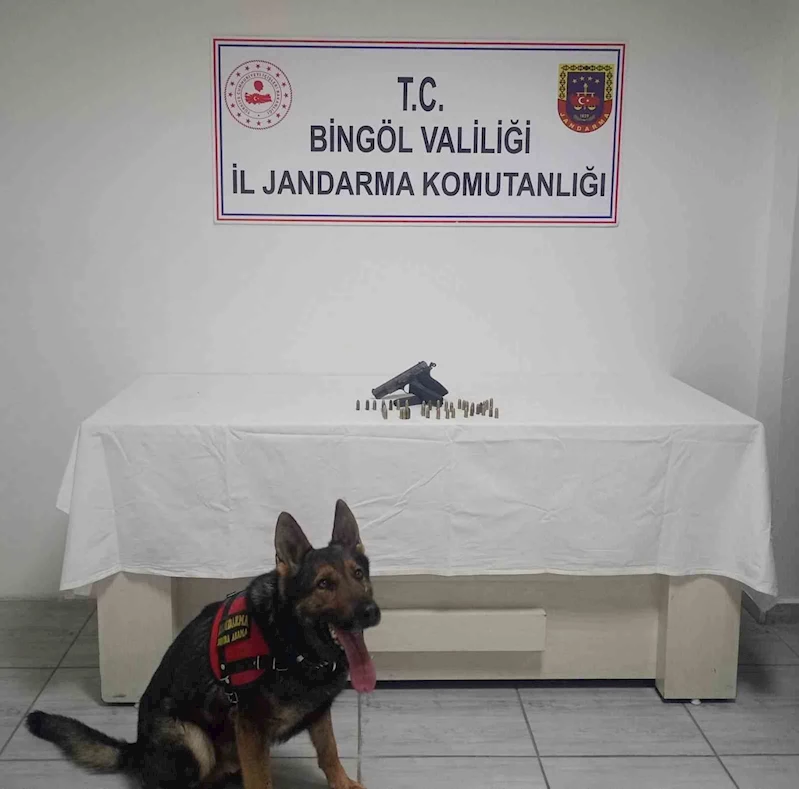 Bingöl’de ruhsatsız silah ele geçirildi
